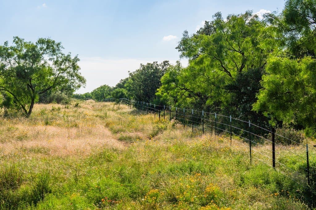 280.3 acres in Llano County - photo 41