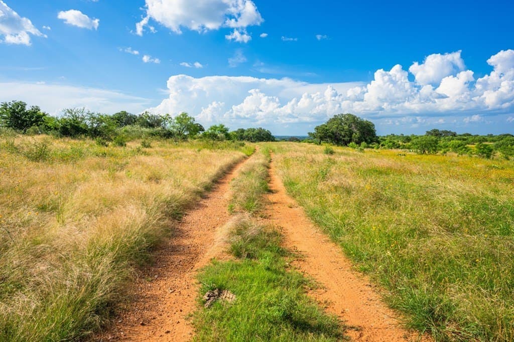 280.3 acres in Llano County - photo 29