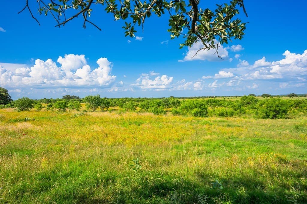 280.3 acres in Llano County - photo 25