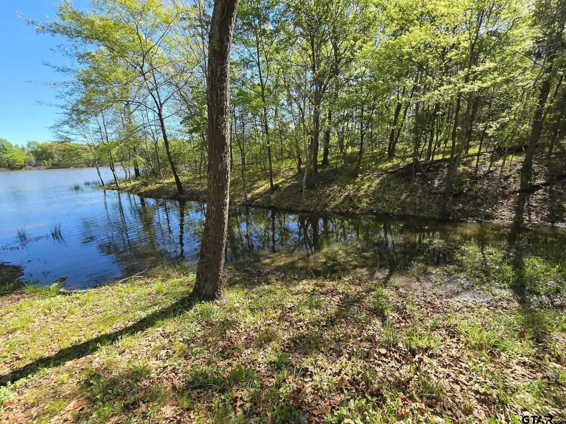 0.52 acres in Wood County - photo 14