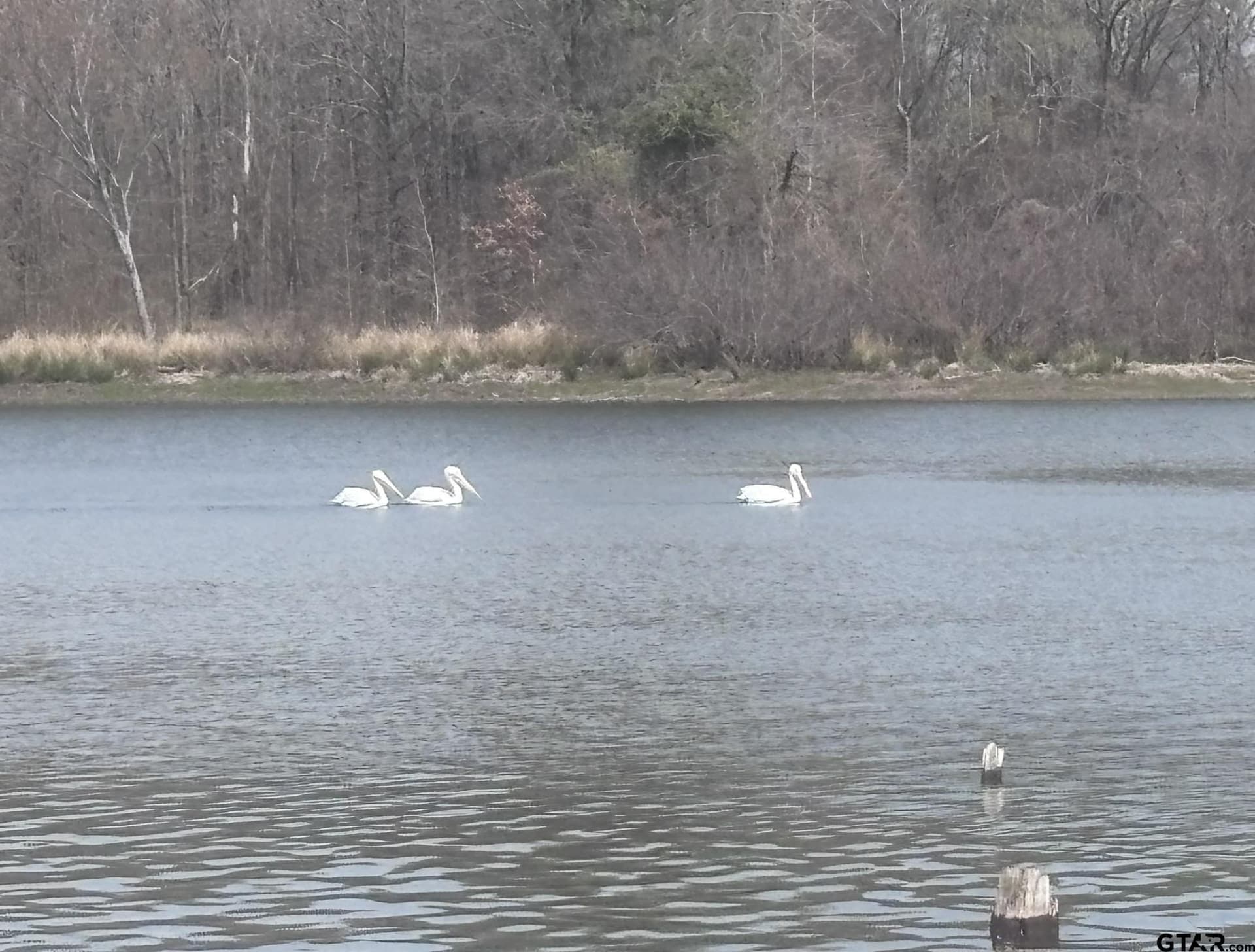 0.52 acres in Wood County - photo 18