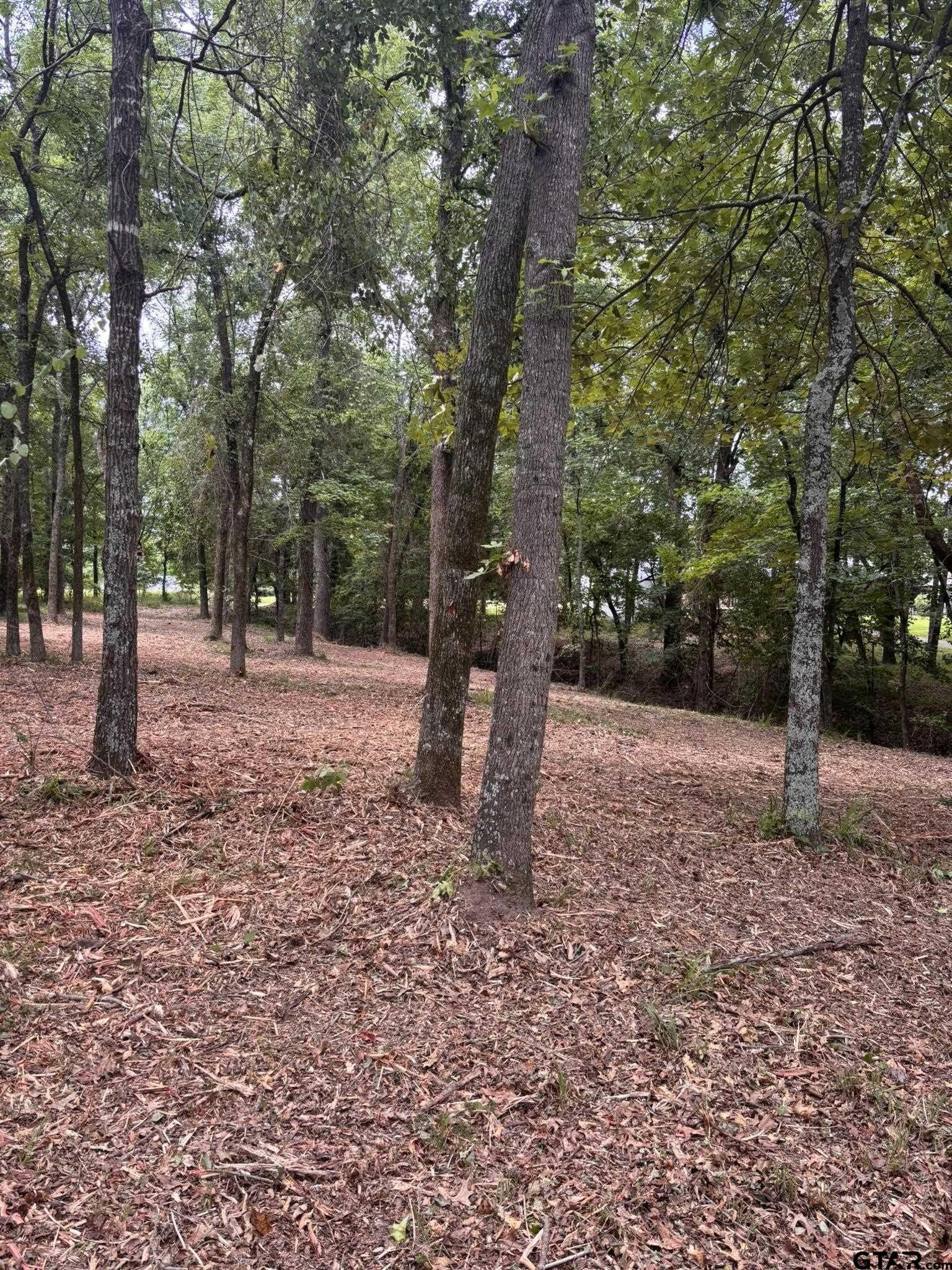 0.52 acres in Wood County - photo 5