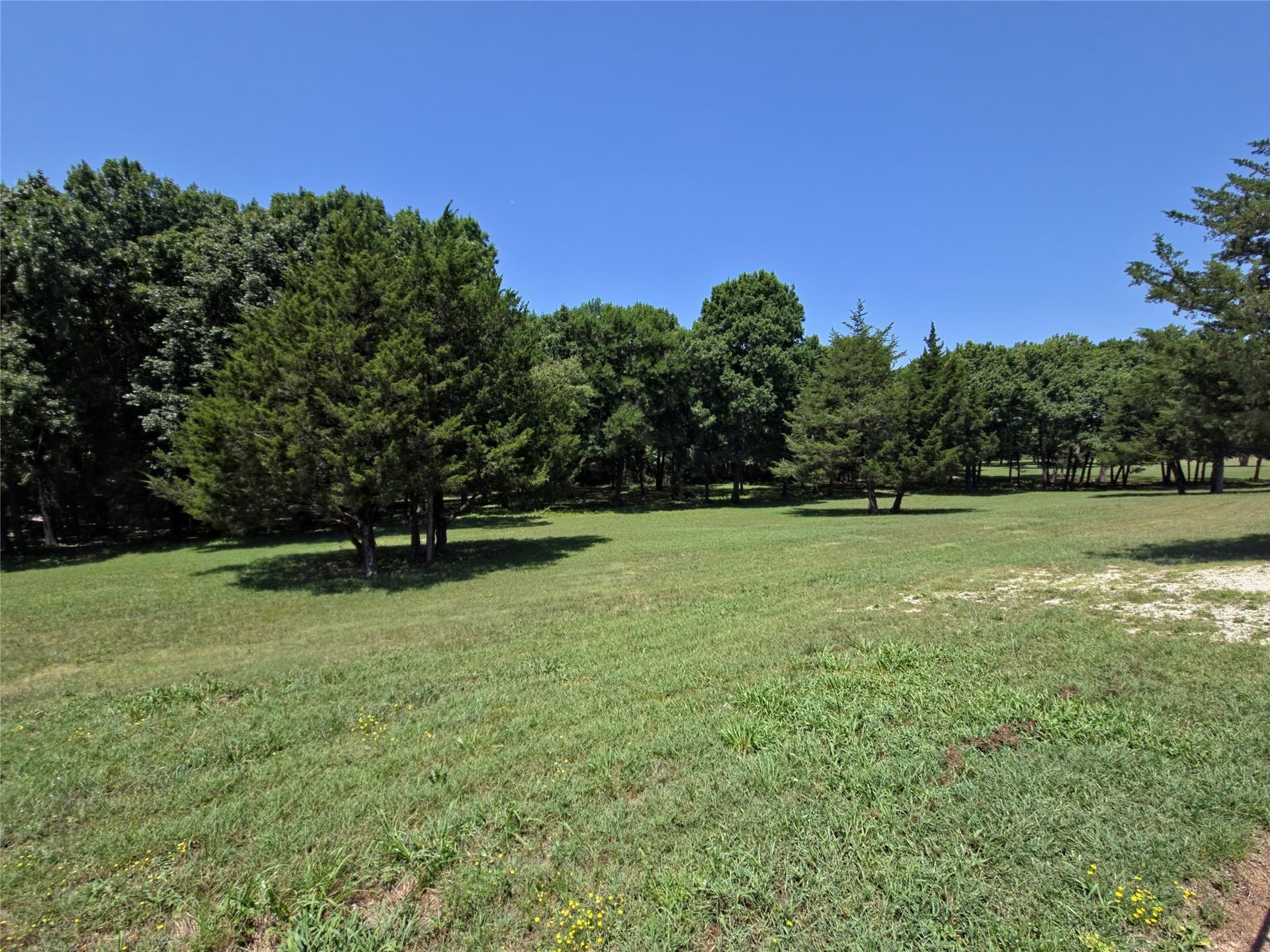 1.25 acres in Collin County - photo 8