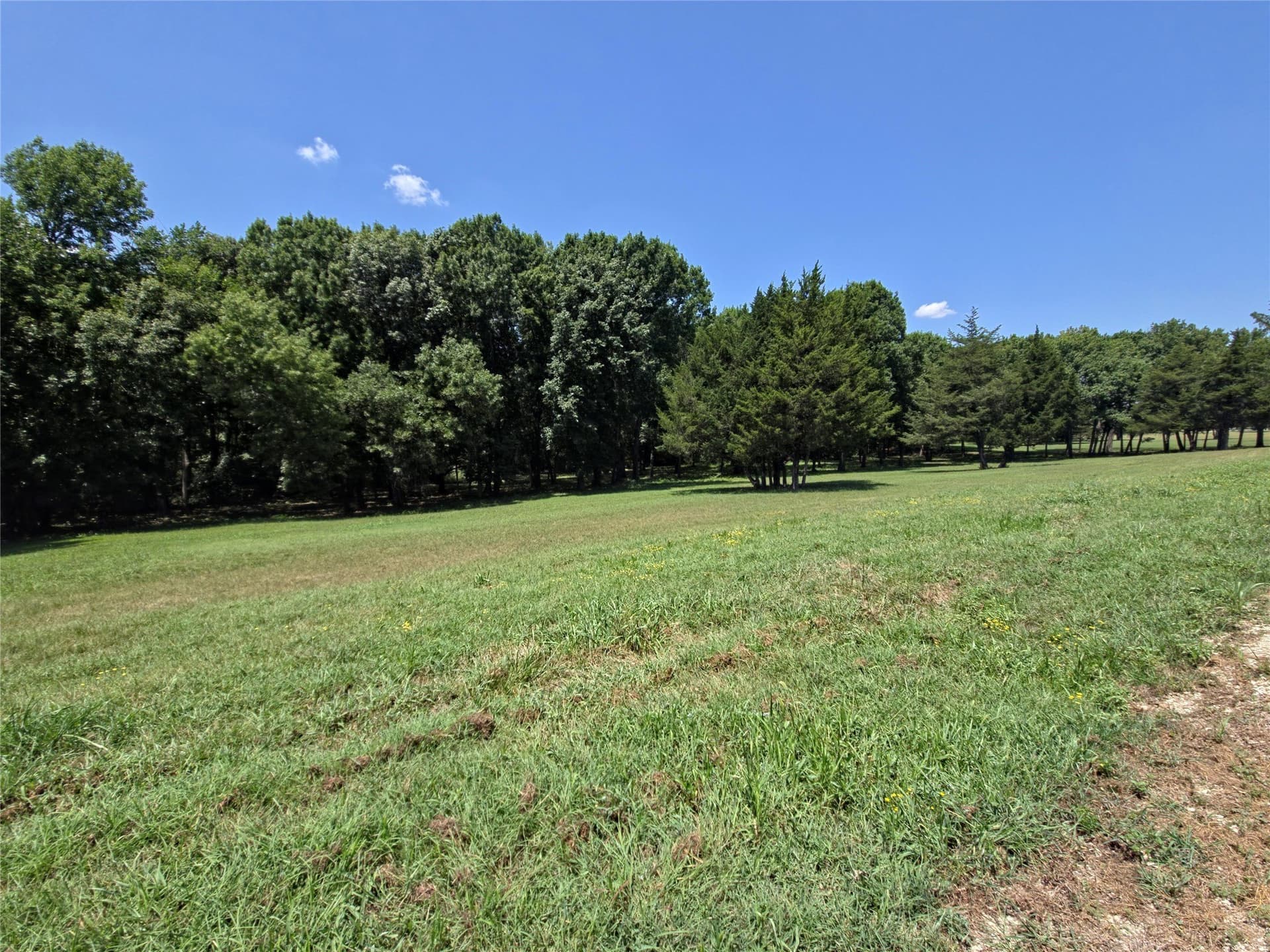 1.25 acres in Collin County - photo 11