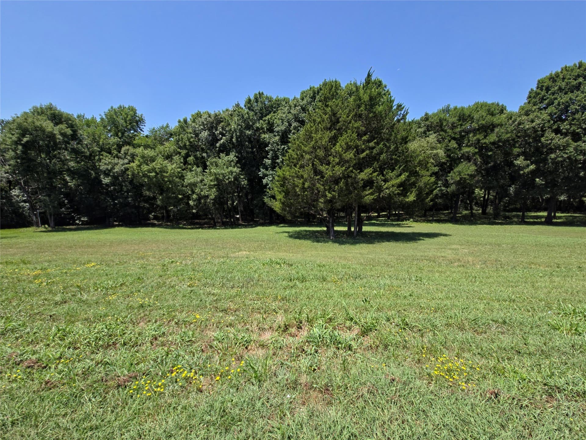 1.25 acres in Collin County - photo 9