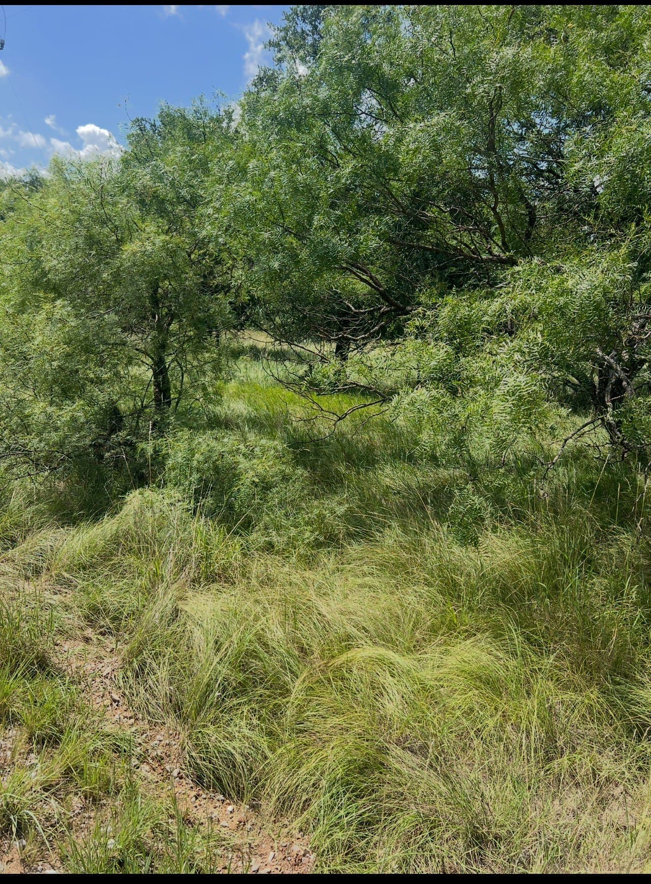 0.09 acres in Brown County