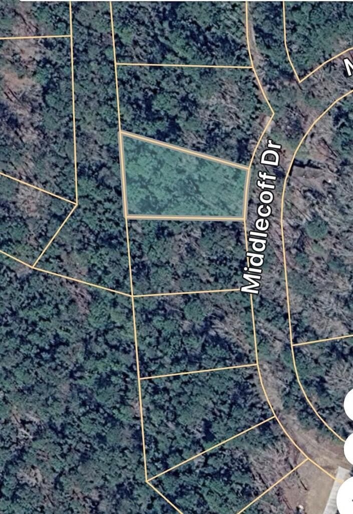 0.47 acres in Texas County - photo 3
