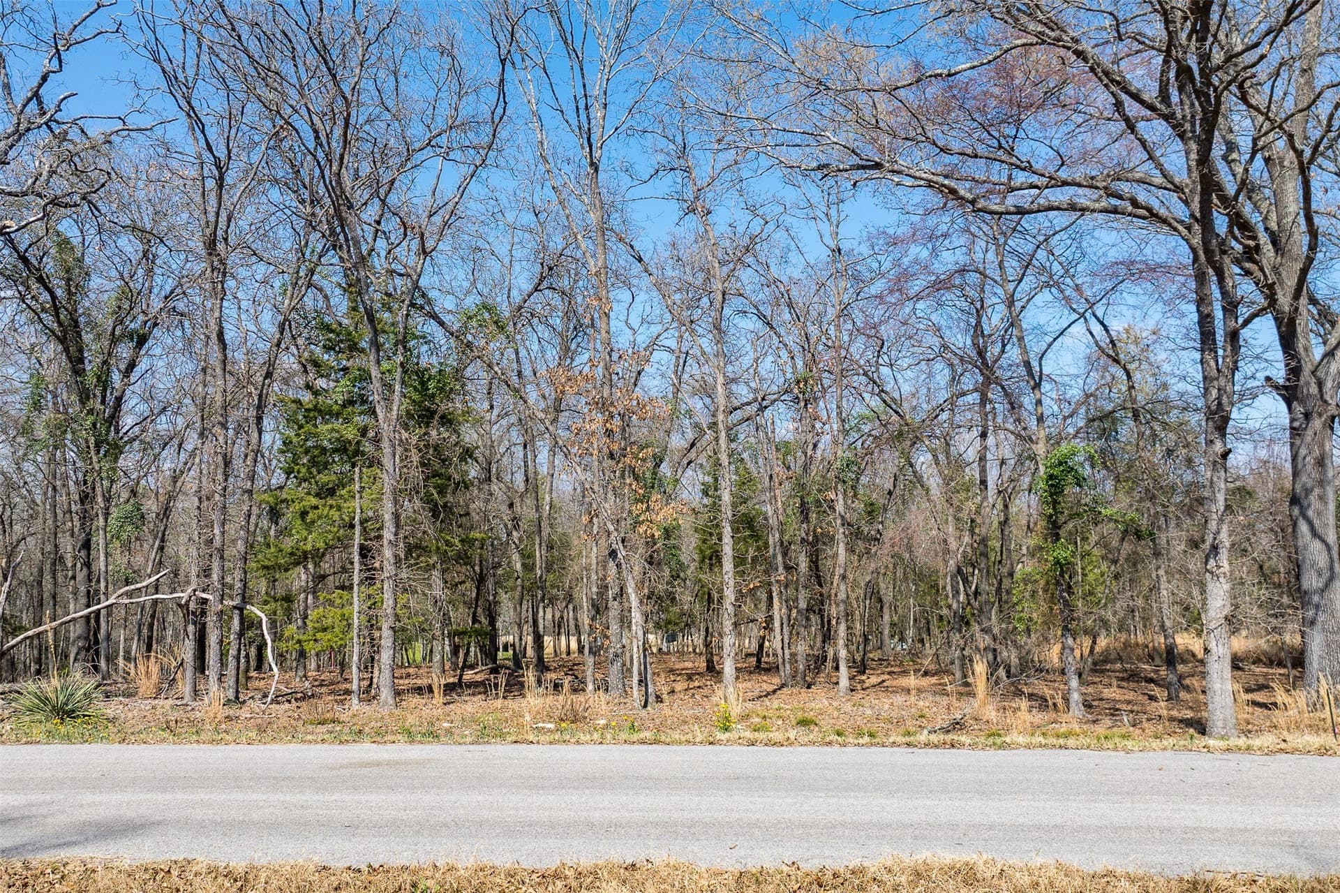 1.22 acres in Henderson County - photo 16