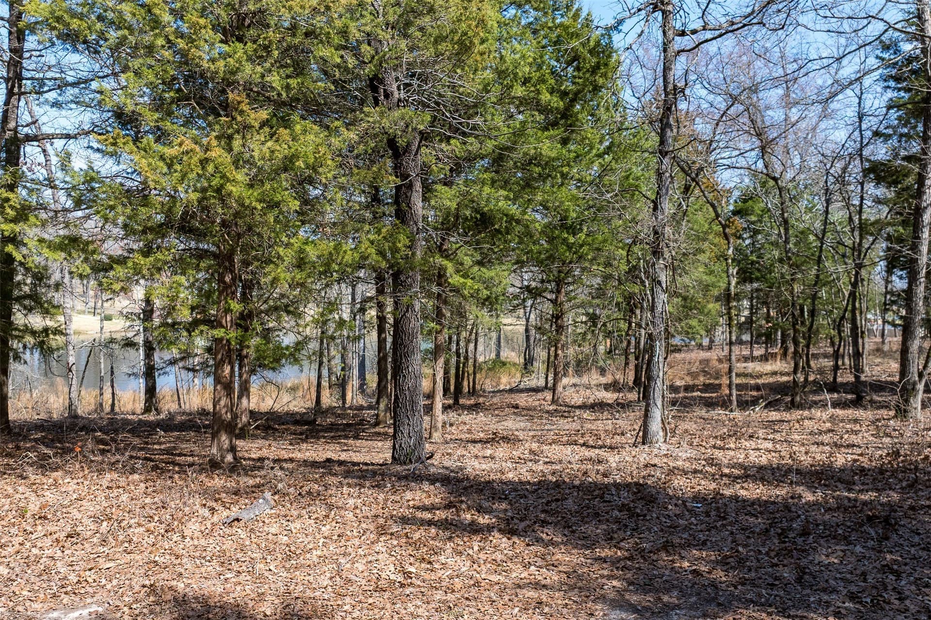 1.22 acres in Henderson County - photo 17