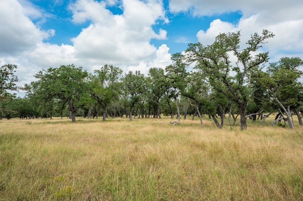 4.3 acres in Gillespie County featured view