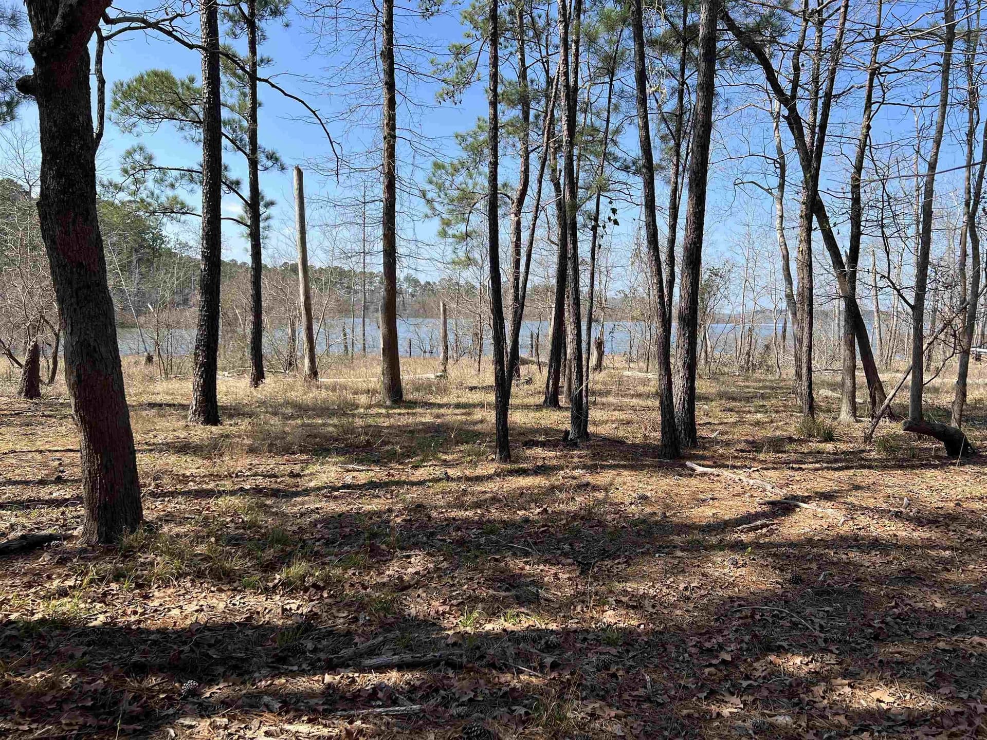 1.05 acres in Texas County gallery image 3