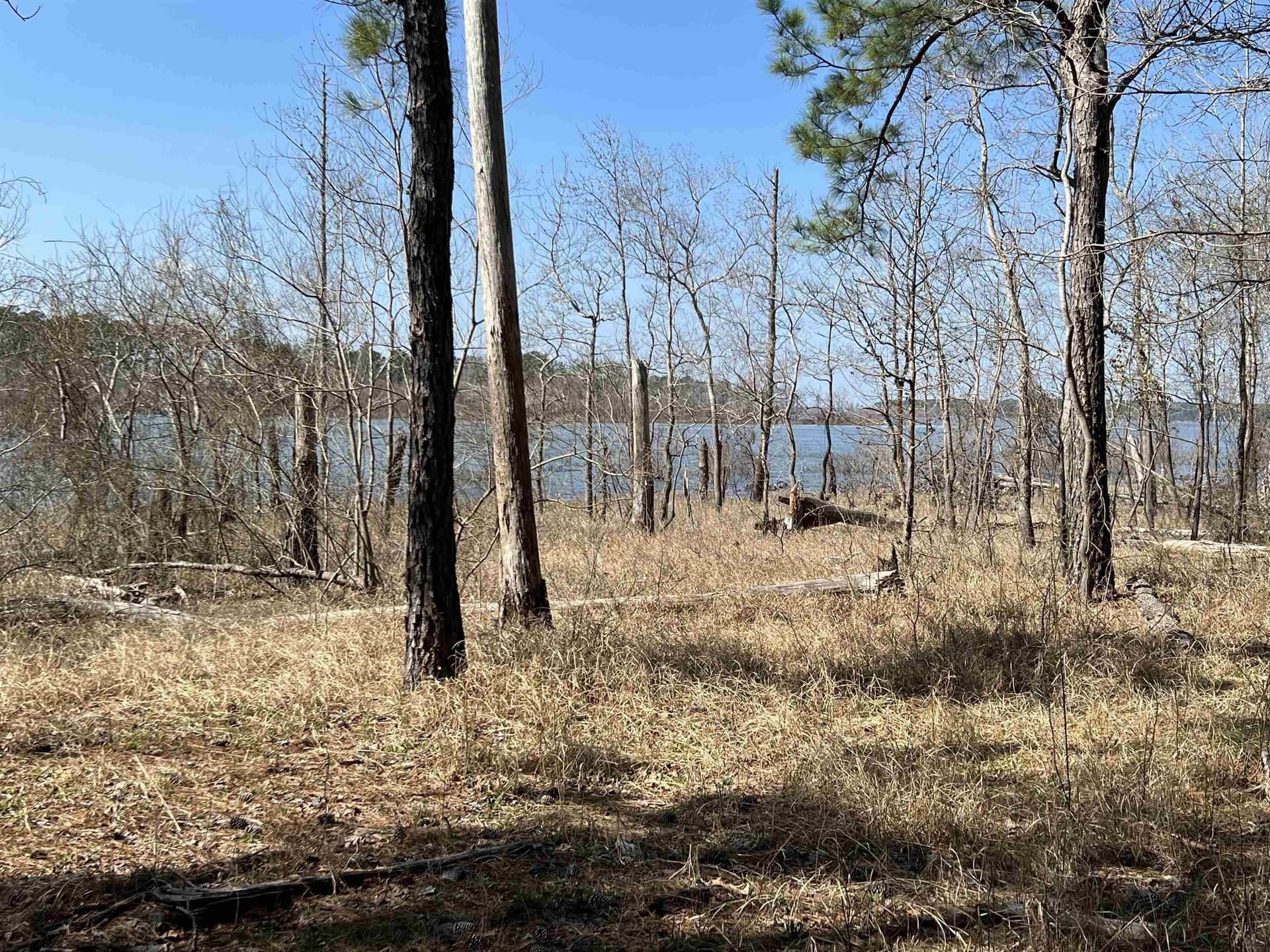 1.05 acres in Texas County gallery image 2