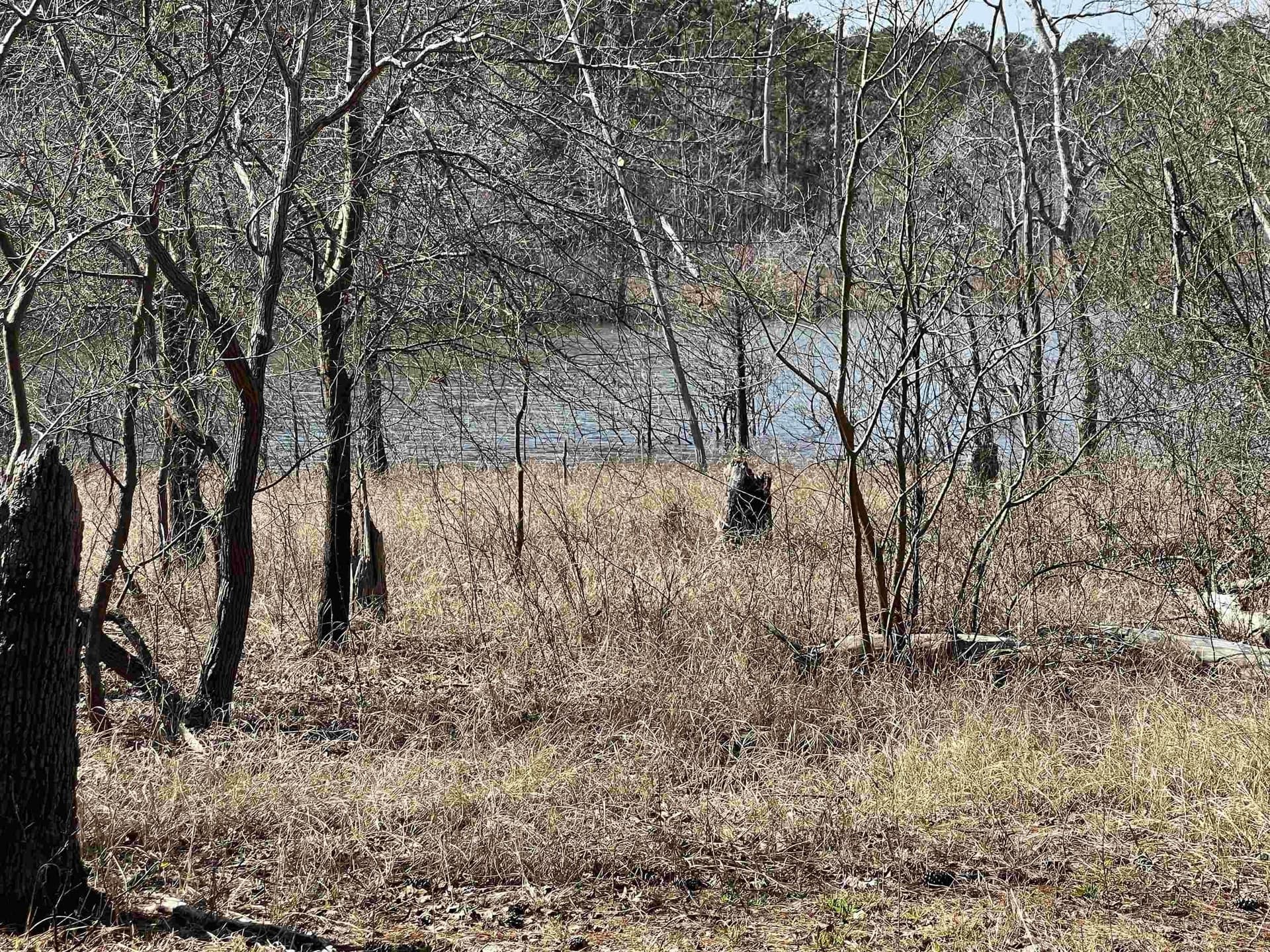 1.05 acres in Texas County