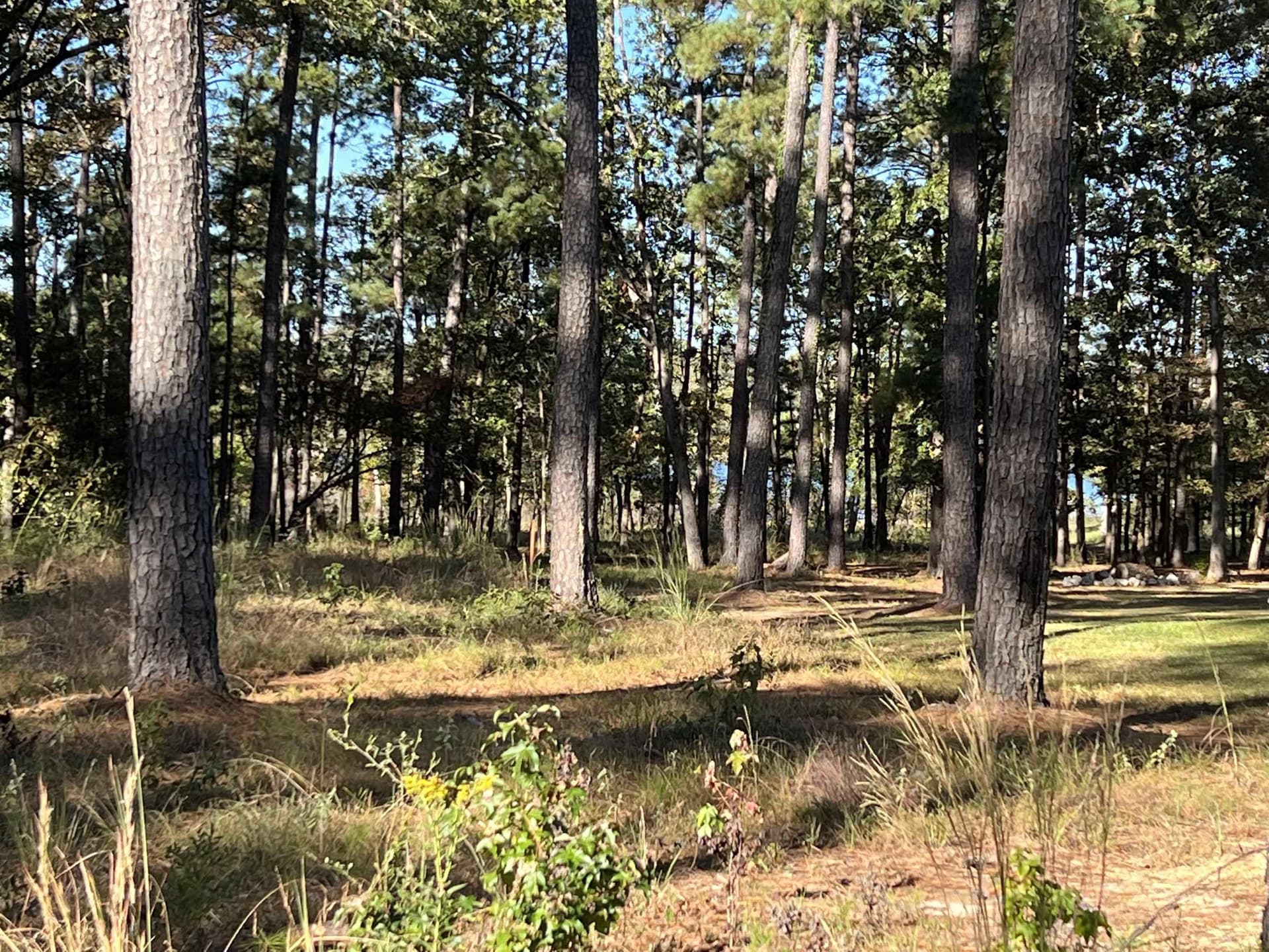 1.05 acres in Texas County - photo 10