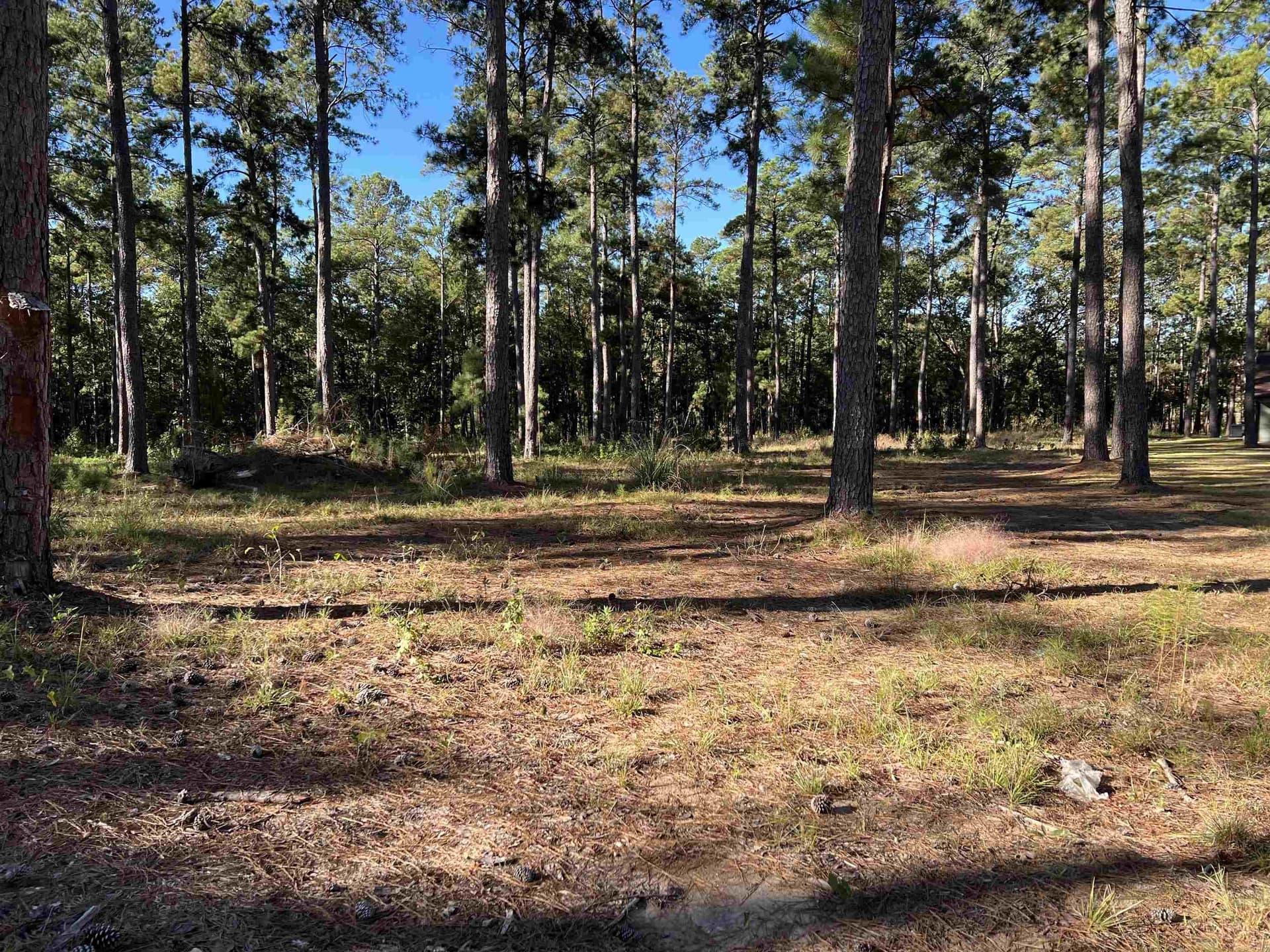 1.05 acres in Texas County - photo 8