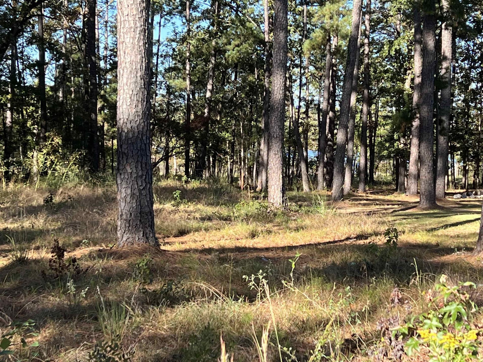 1.05 acres in Texas County gallery image 4