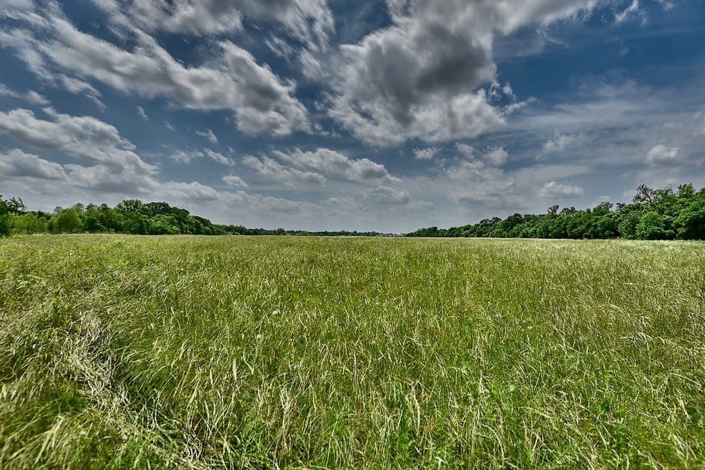 38.56 acres in Grimes County gallery image 4
