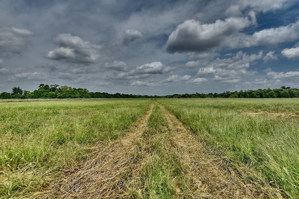 38.56 acres in Grimes County gallery image 3