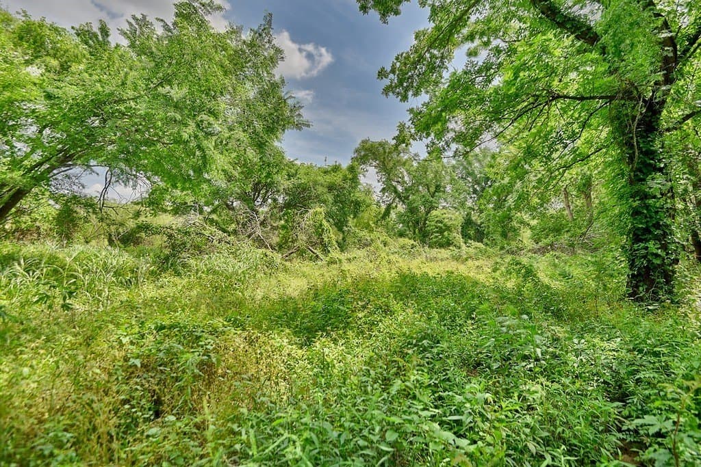 38.56 acres in Grimes County - photo 6