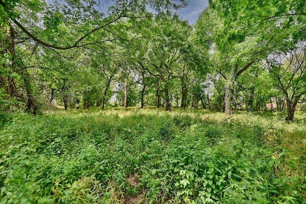 38.56 acres in Grimes County featured view