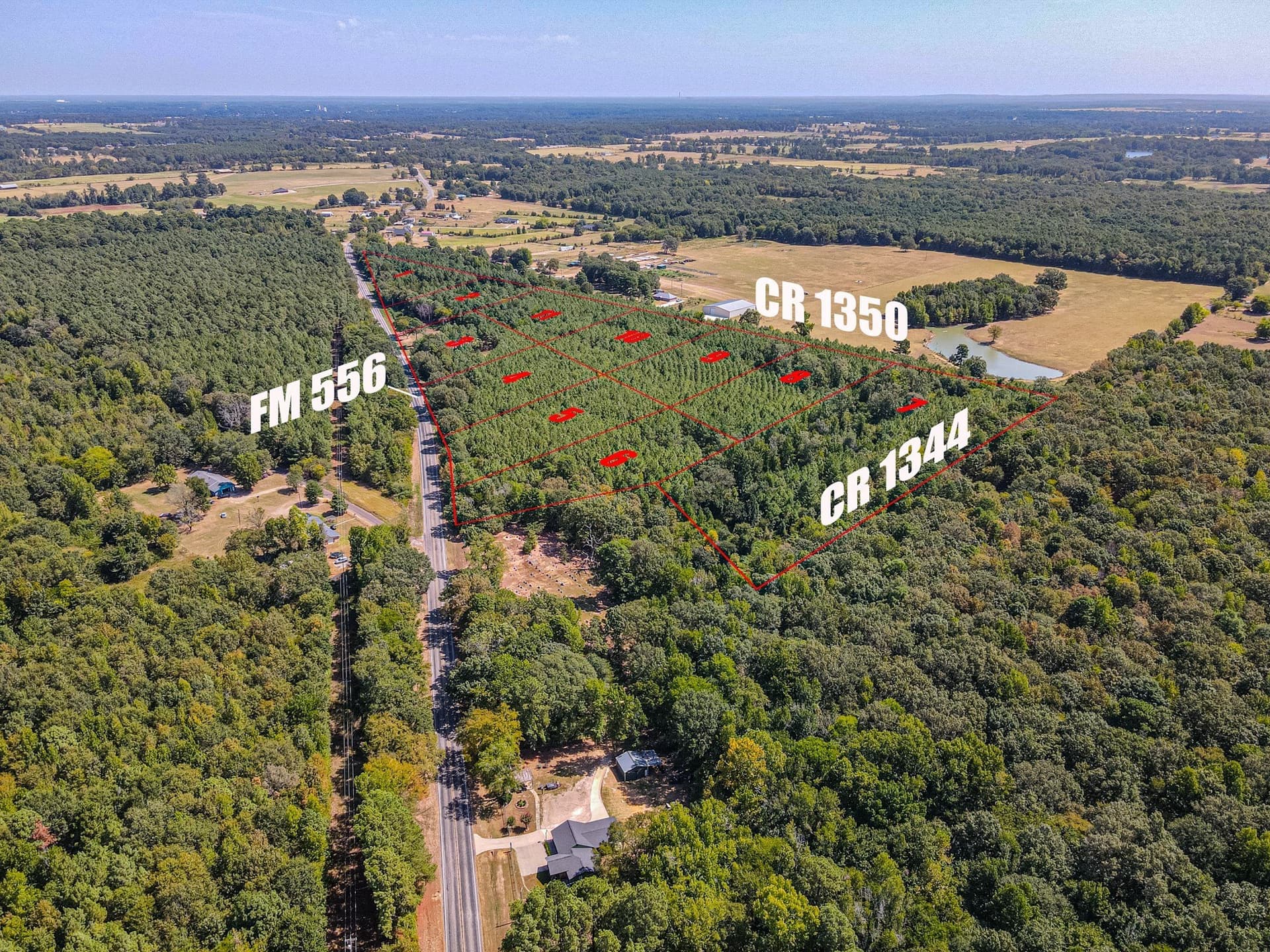 2.21 acres in Camp County - photo 5