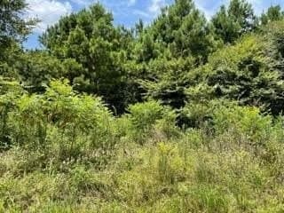 2.21 acres in Camp County