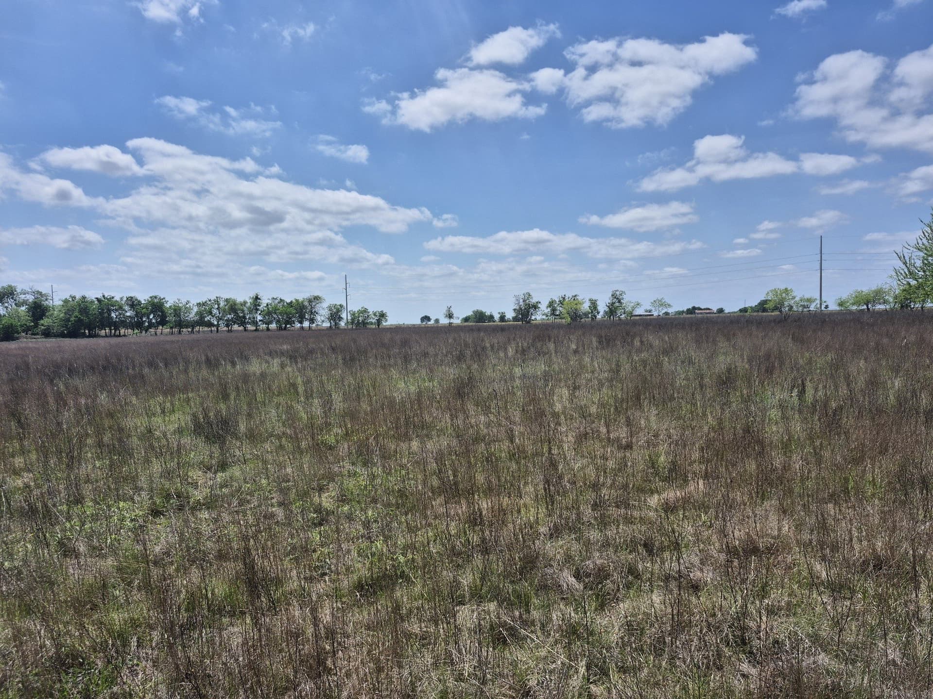 10.01 acres in Hamilton County - photo 7