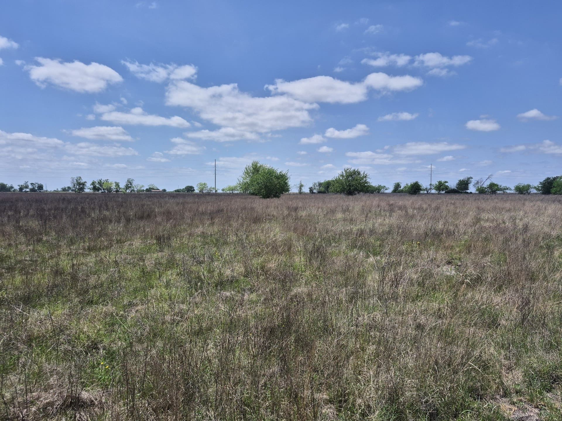 10.01 acres in Hamilton County - photo 15