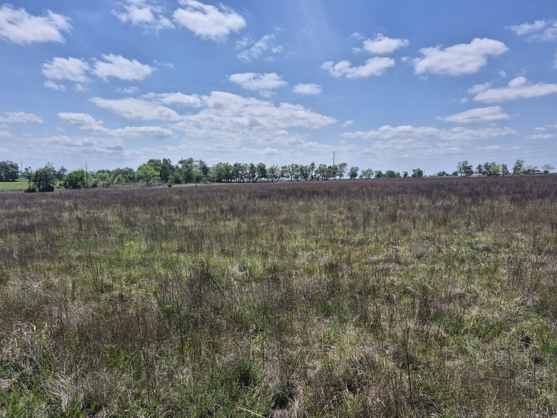 10.01 acres in Hamilton County - photo 12