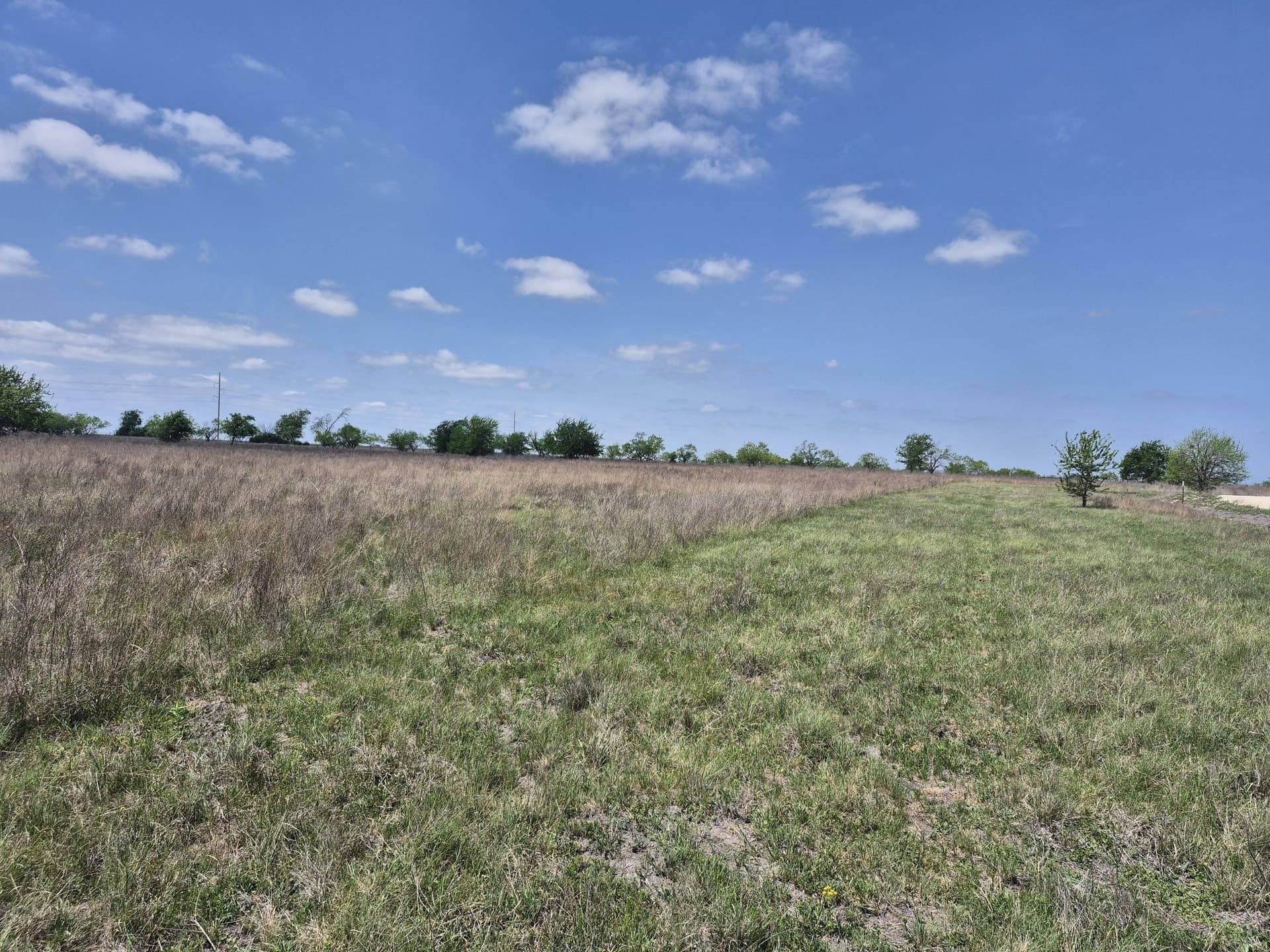 10.01 acres in Hamilton County - photo 16