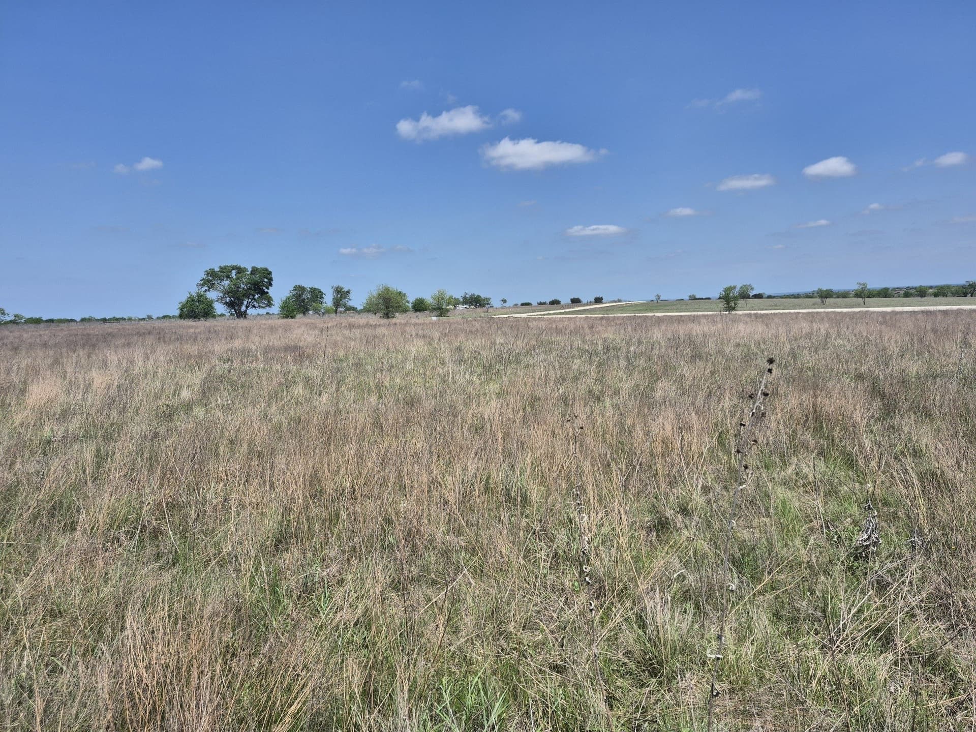 10.01 acres in Hamilton County gallery image 3