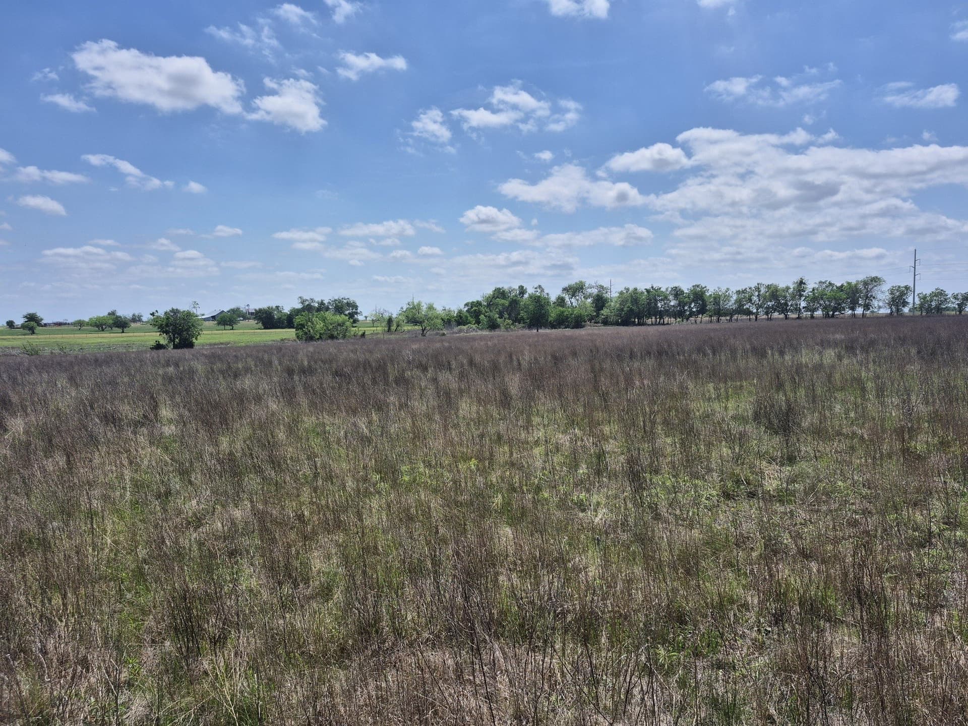 10.01 acres in Hamilton County - photo 6