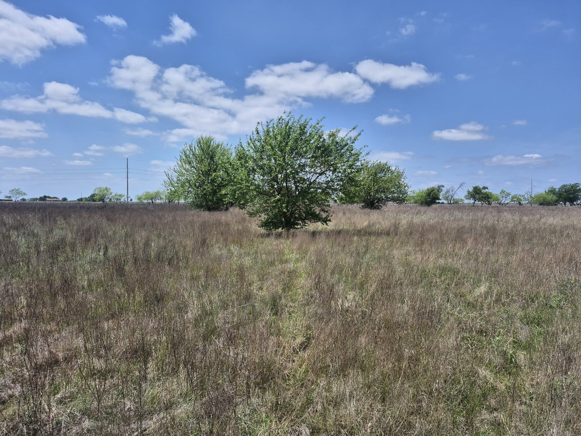 10.01 acres in Hamilton County - photo 8