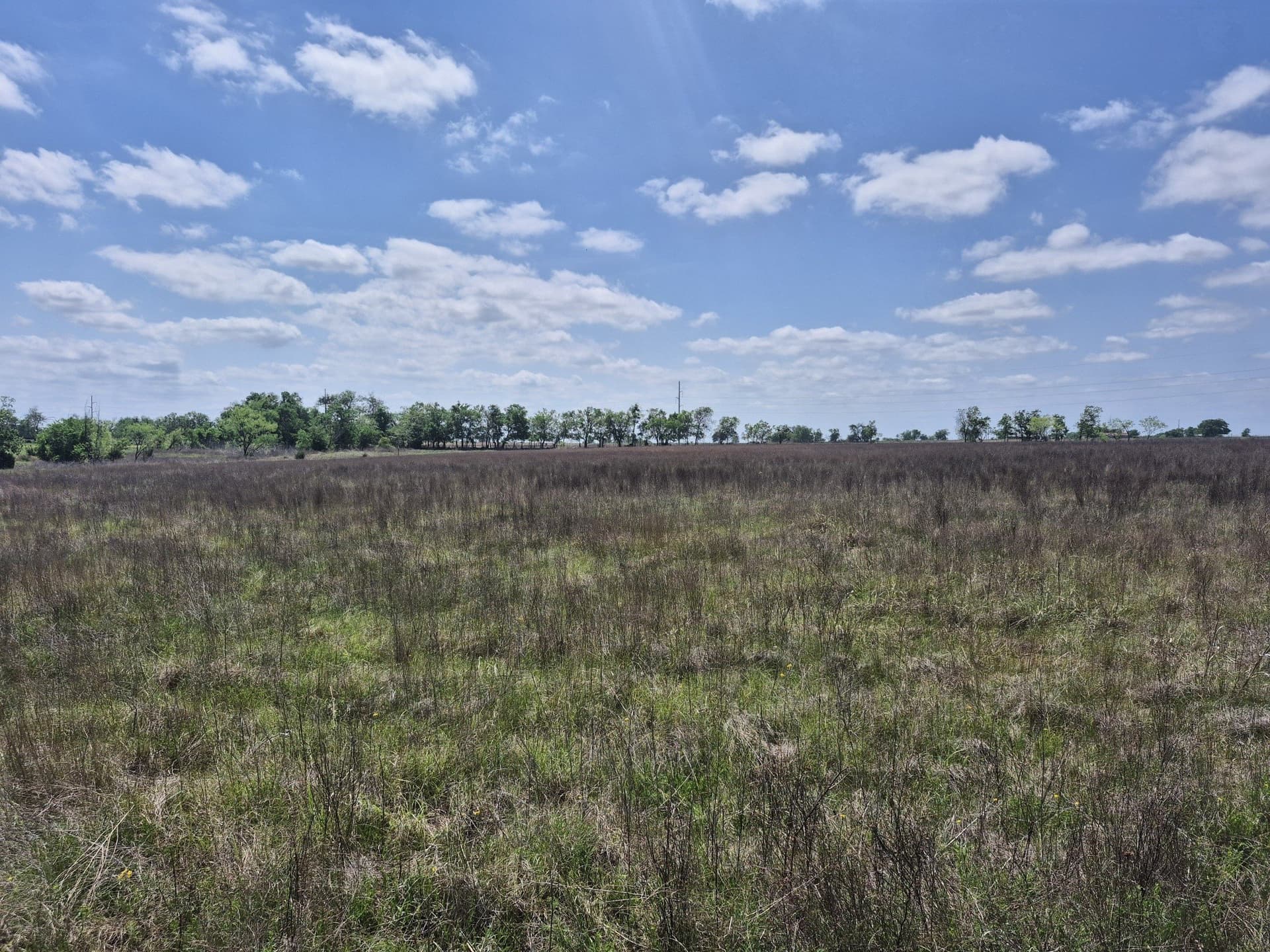 10.01 acres in Hamilton County - photo 9