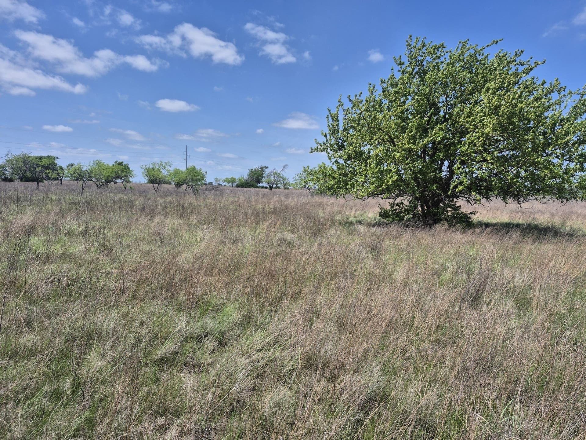 10.01 acres in Hamilton County - photo 17