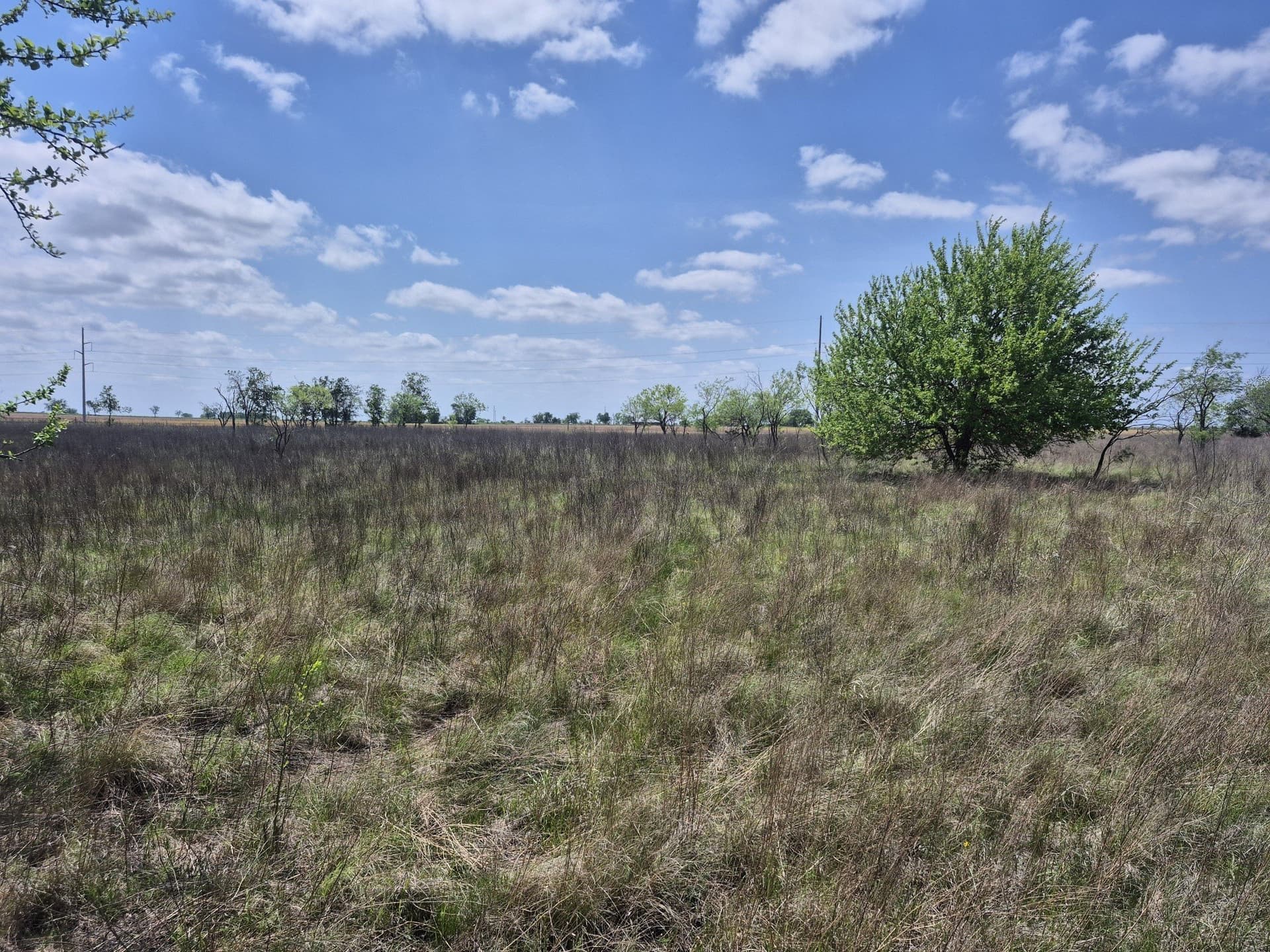 10.01 acres in Hamilton County - photo 13