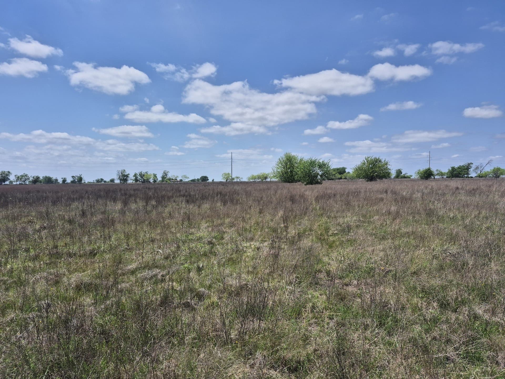 10.01 acres in Hamilton County - photo 11