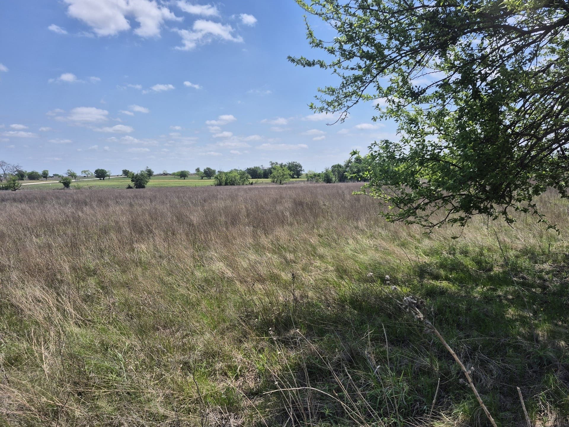 10.01 acres in Hamilton County gallery image 2