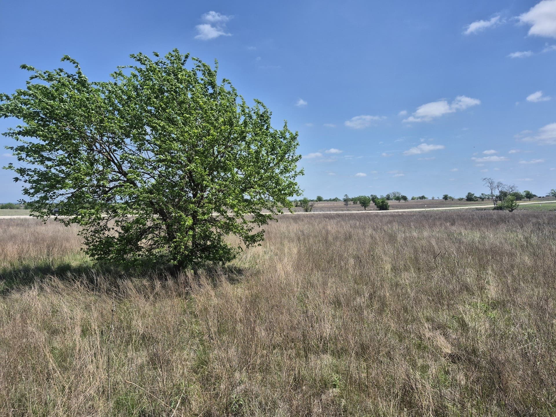 10.01 acres in Hamilton County