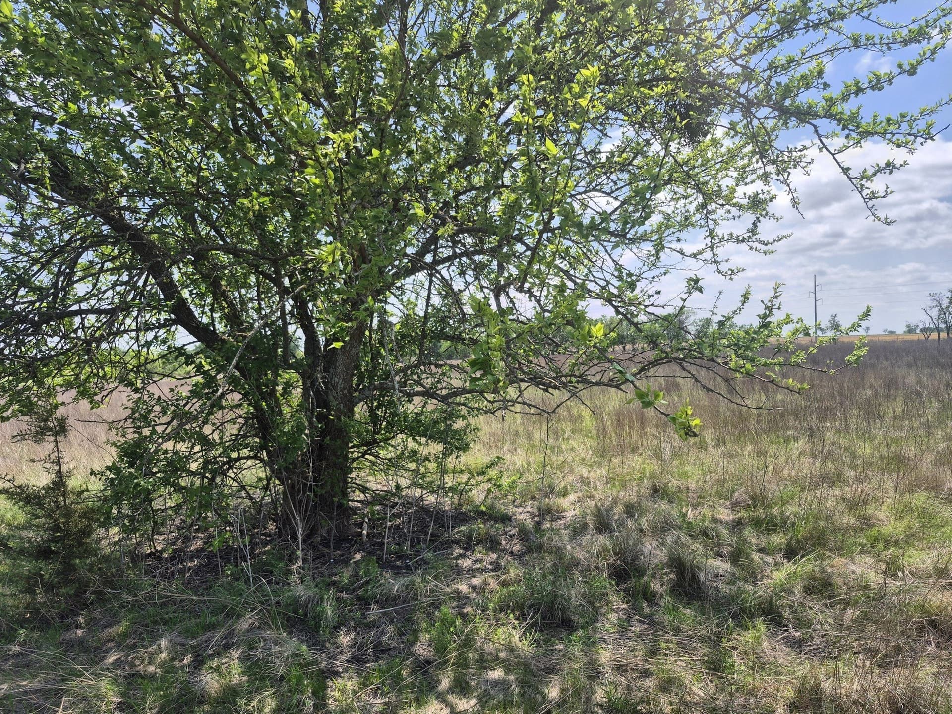 10.01 acres in Hamilton County featured view