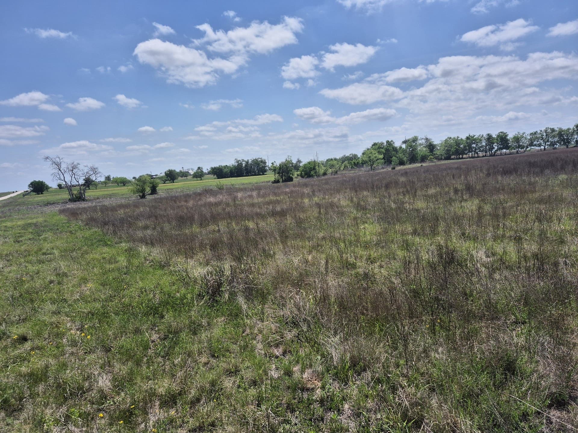 10.01 acres in Hamilton County - photo 14