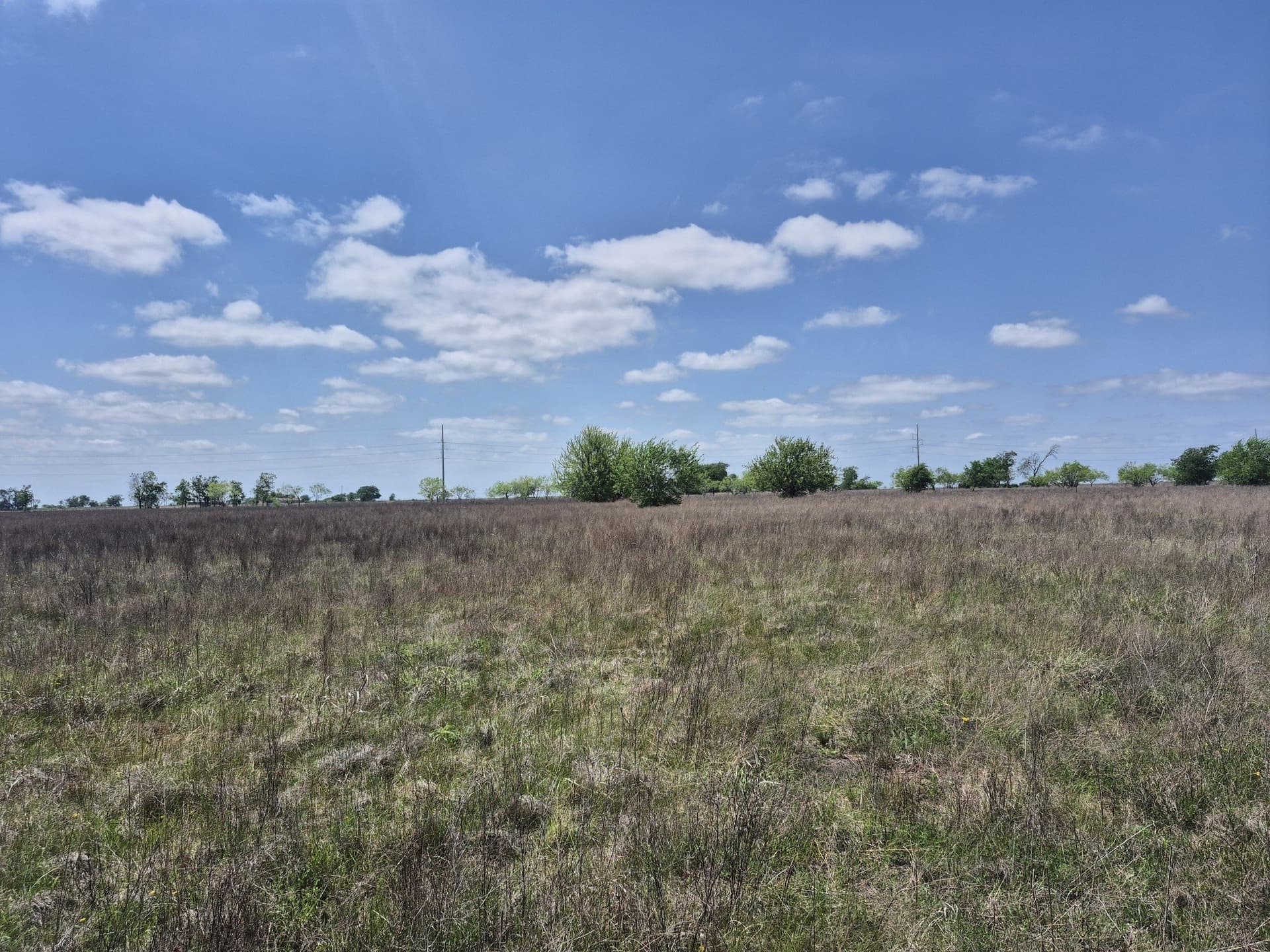 10.01 acres in Hamilton County - photo 10