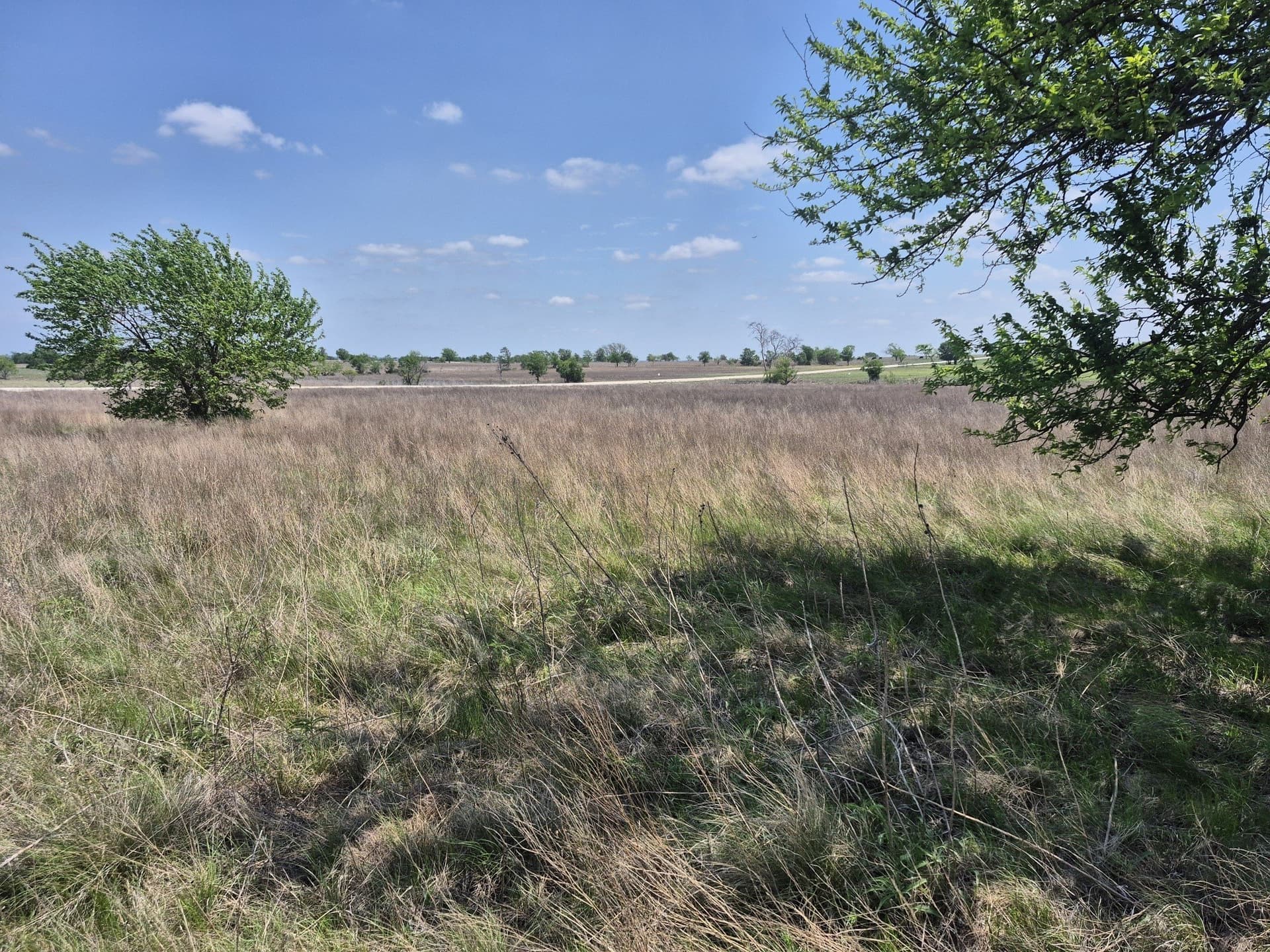 10.01 acres in Hamilton County gallery image 4