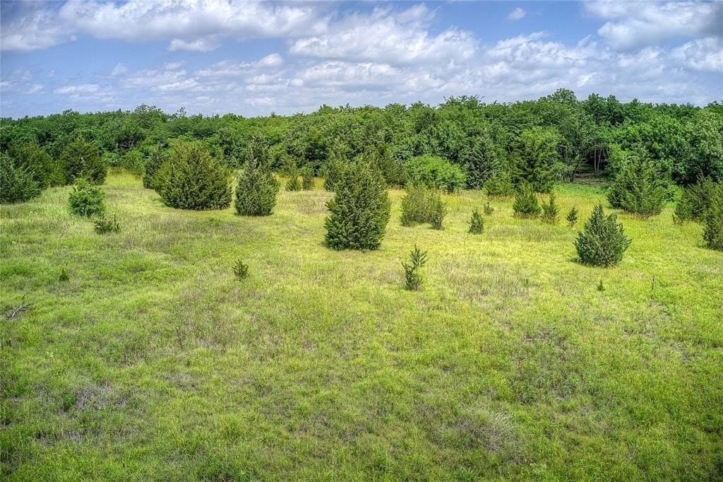 10.46 acres in Hunt County gallery image 3