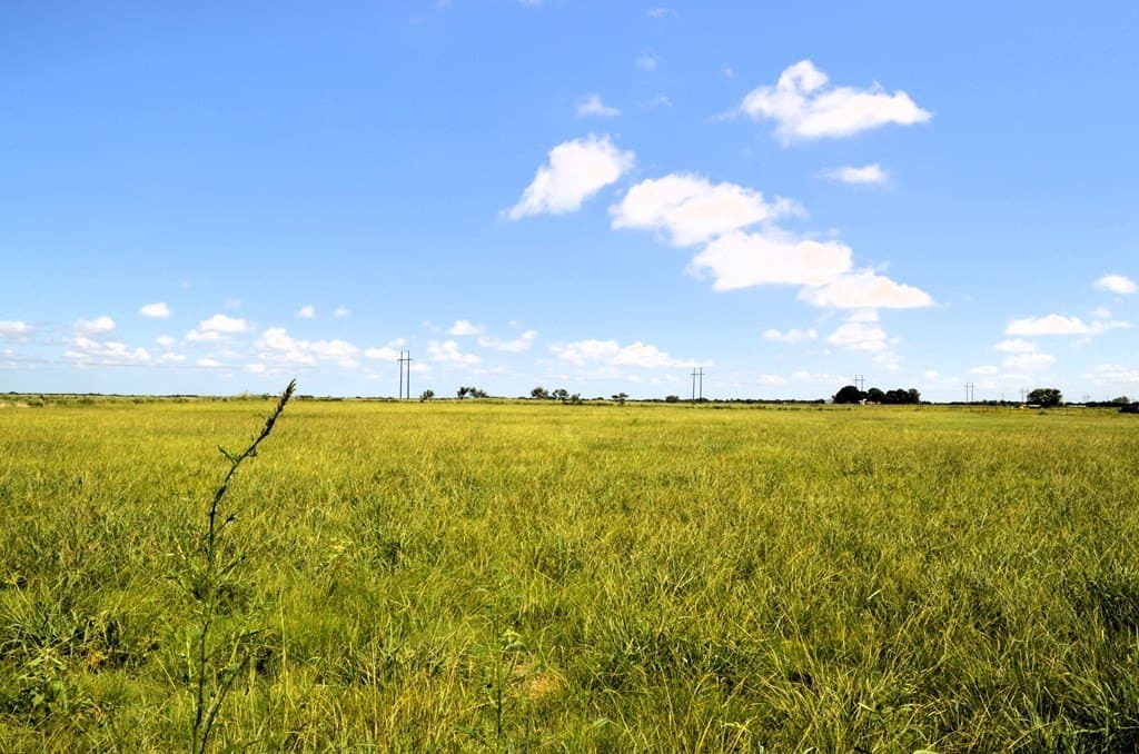 24 acres in Kaufman County - photo 8