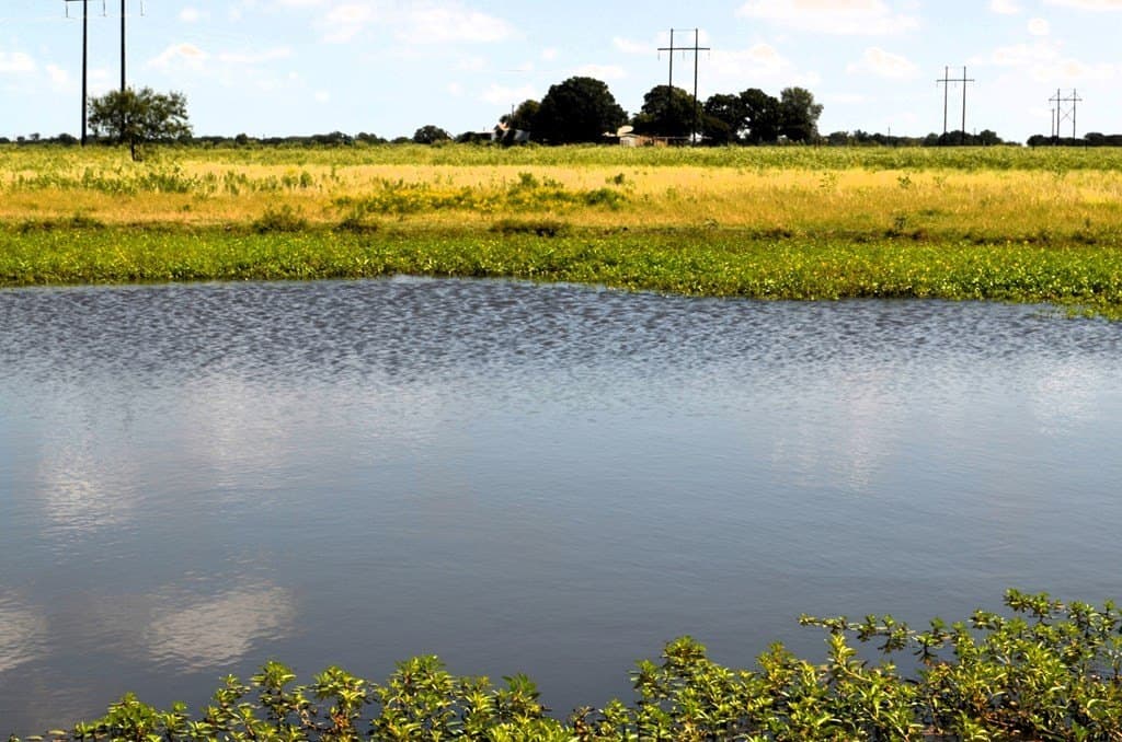 24 acres in Kaufman County - photo 12