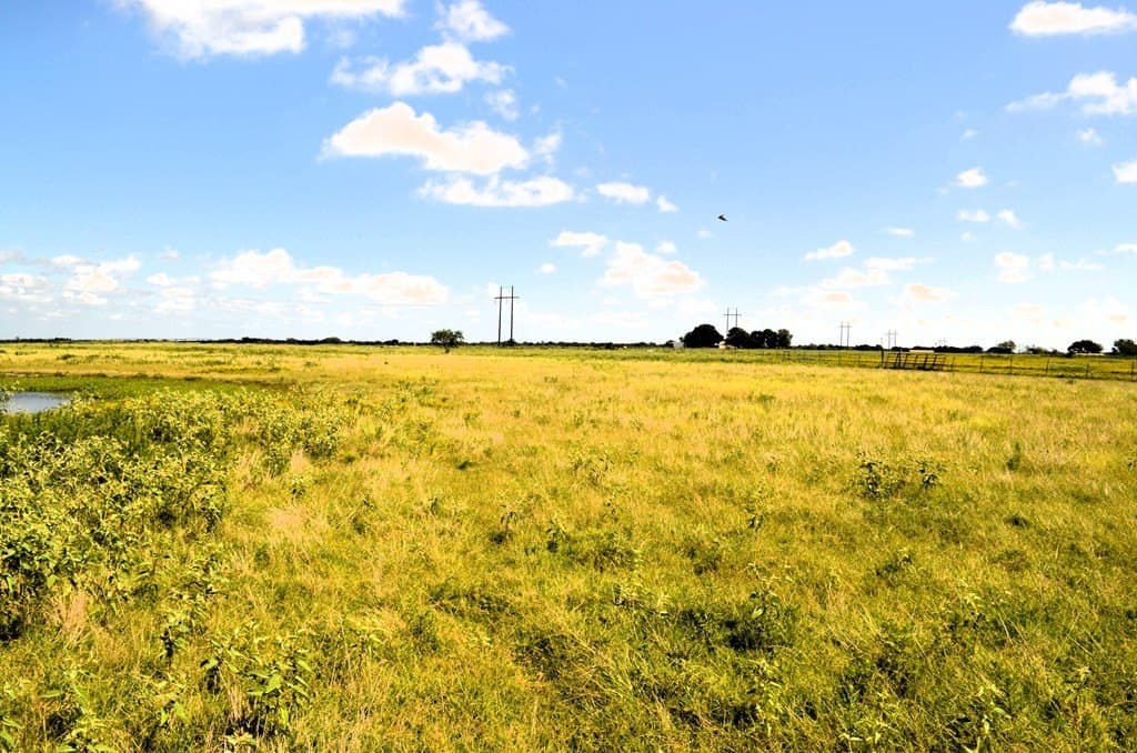 24 acres in Kaufman County - photo 11