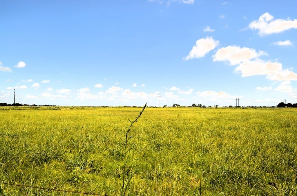 24 acres in Kaufman County - photo 9