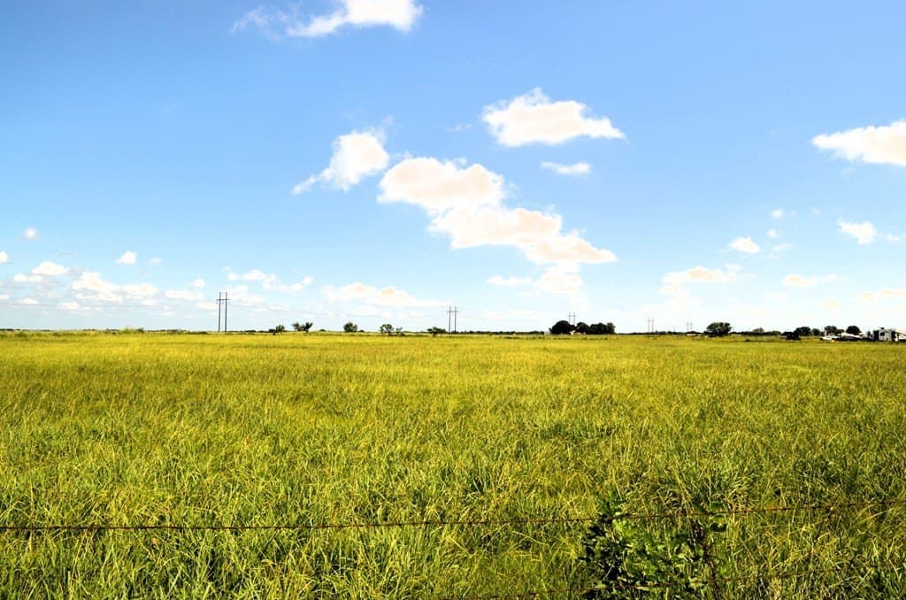 24 acres in Kaufman County - photo 10