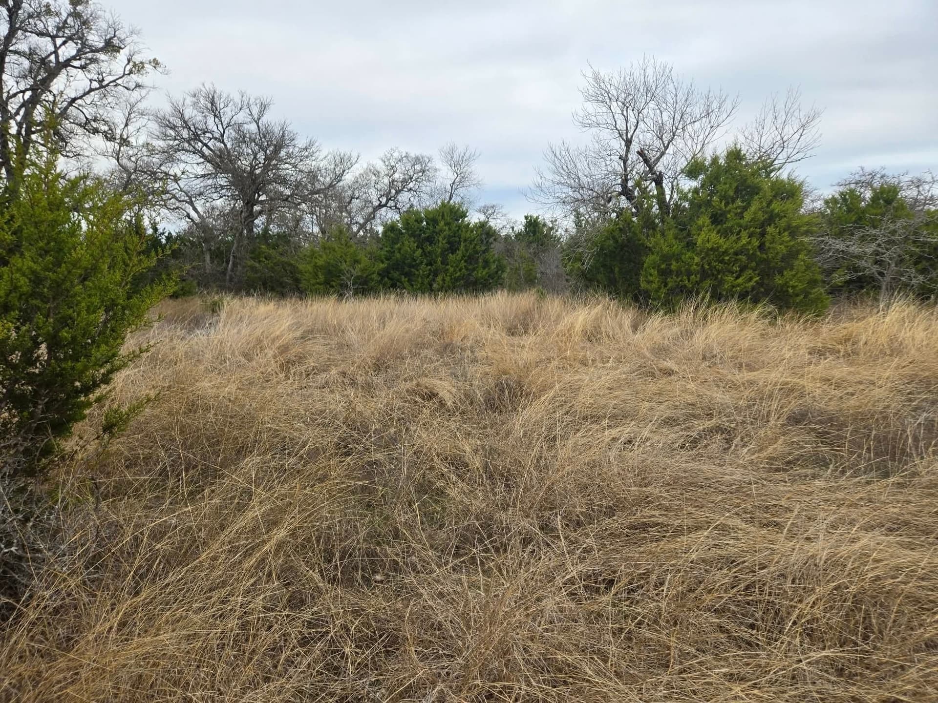 6.05 acres in Coryell County - photo 6